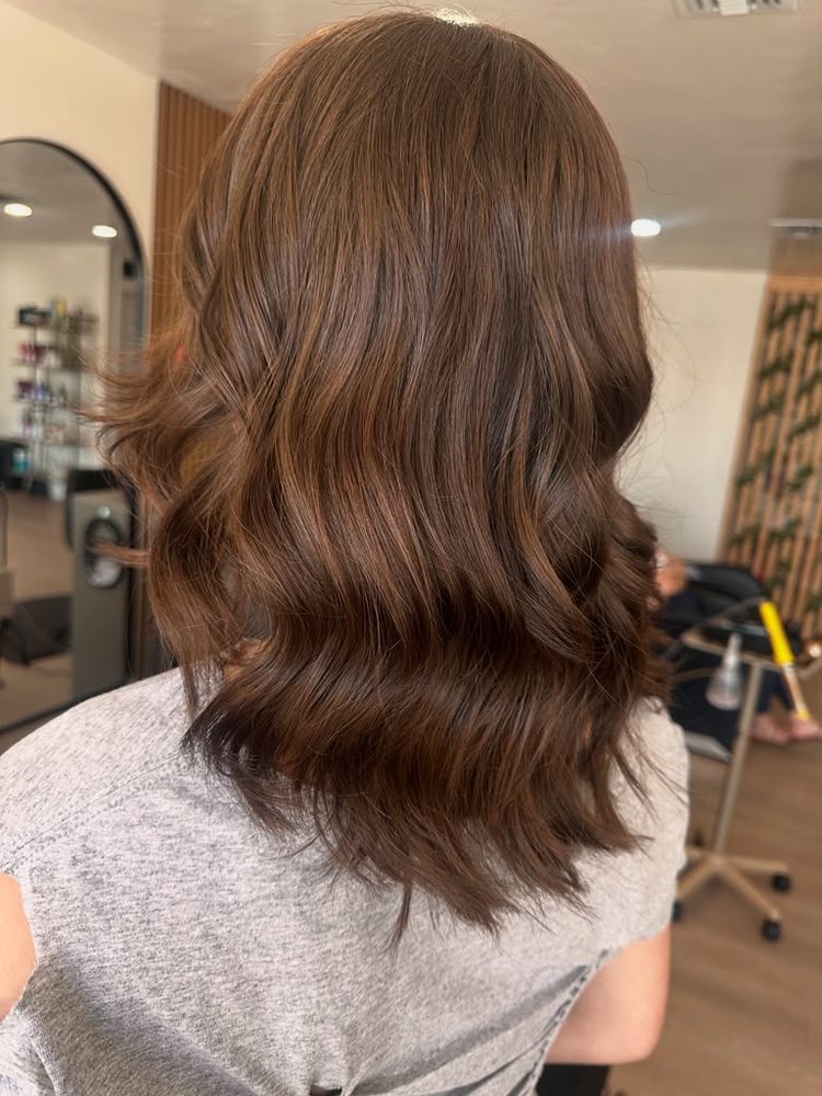 Glossy chestnut-brown color with soft, bouncy waves, rear view, Hair Palette Beauty Salon, El Cajon